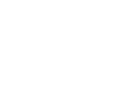 Vib-Ribbon logo for Playstation